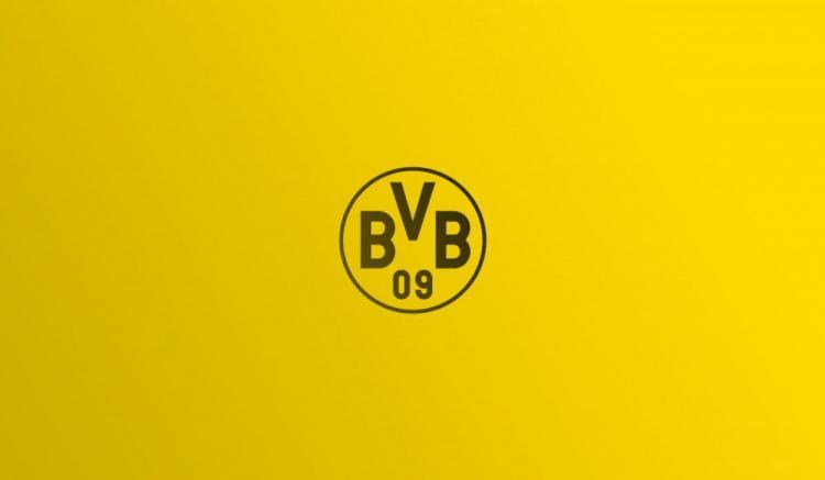 多特欧冠注册25人名单：小贝林厄姆领衔，聚勒&amp;amp;施洛特贝克在列