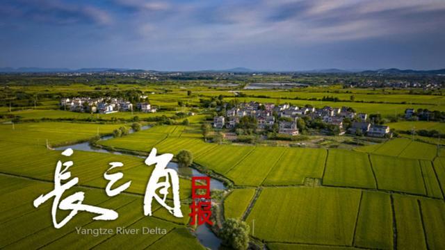 开云首页体验-【长三角日报】“苏超”第四周赛事，预约购票提前